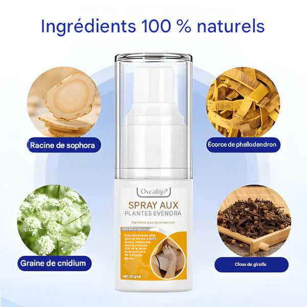 ÉCLAT NATUREL – SPRAY CORRECTEUR DE TEINT 🌟-BF