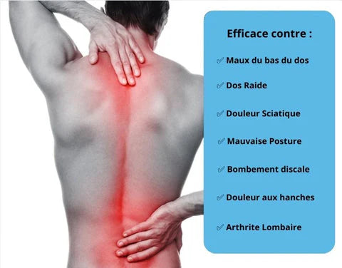 Civière dorsal orthopédique